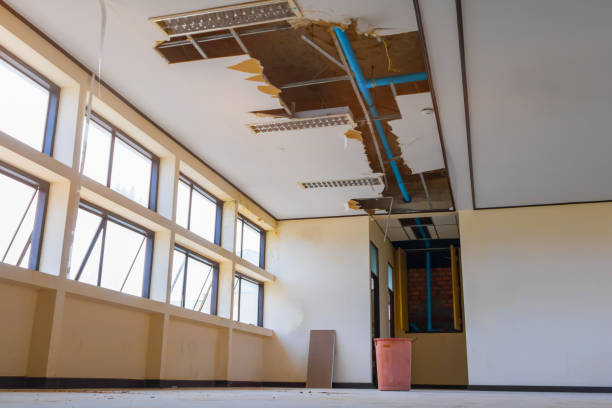 Best Water damage restoration company  in Norwalk, IA