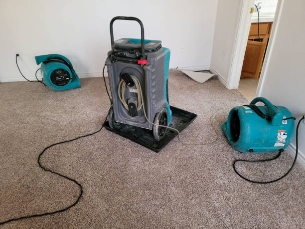 Professional Water damage restoration in Norwalk, IA