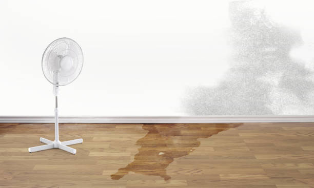 Sewage cleanup and water damage restoration in Norwalk, IA