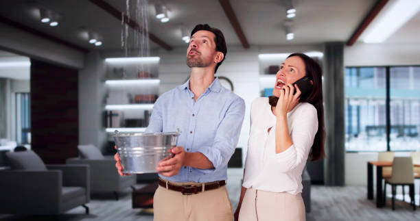 Best Fire Damage Restoration  in Norwalk, IA