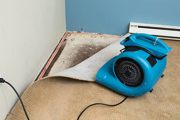 Best Water damage mitigation services  in Norwalk, IA