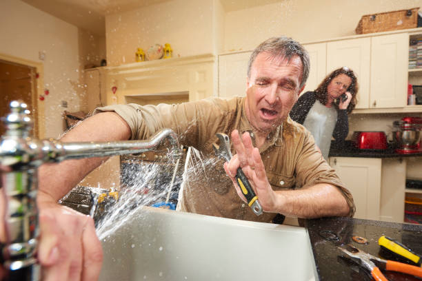 Best Ceiling water damage repair  in Norwalk, IA